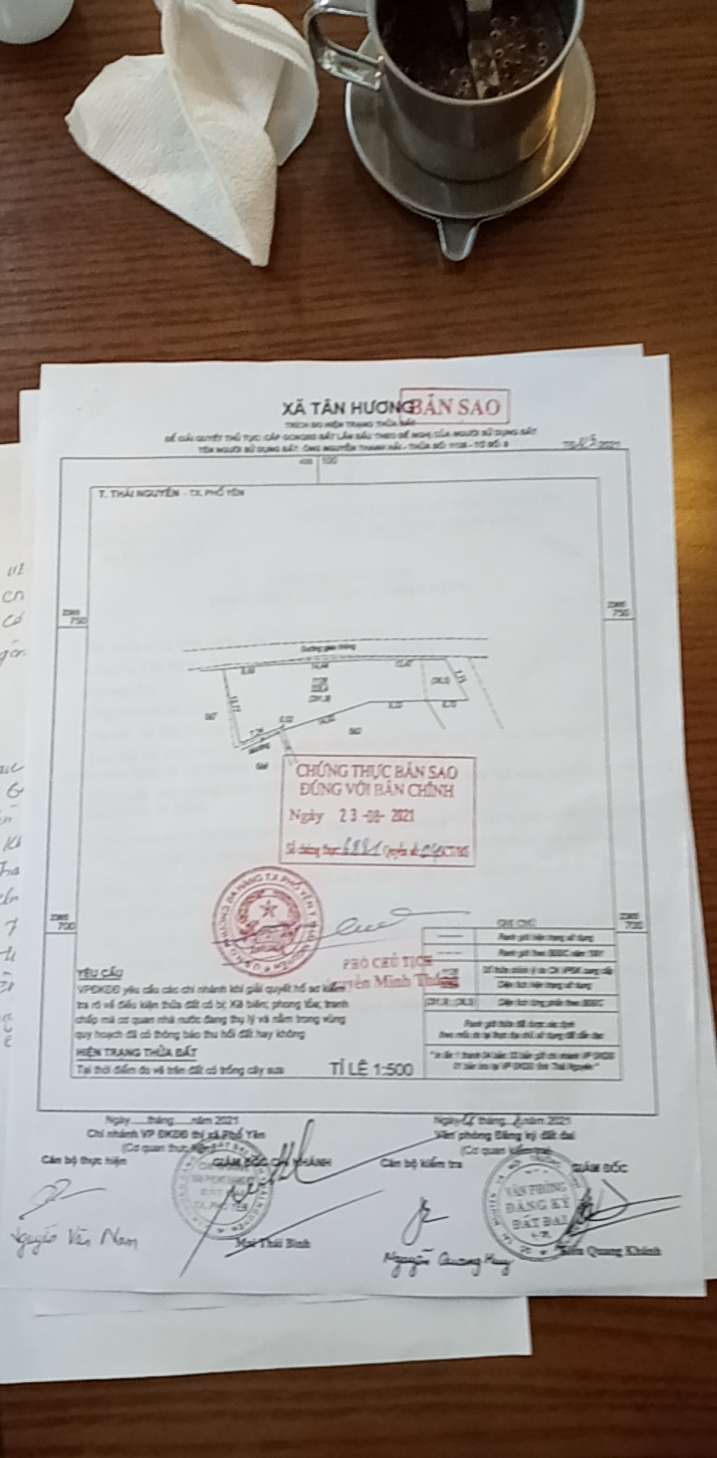 file3.png